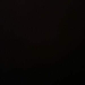 Meet your Posher, Brayden